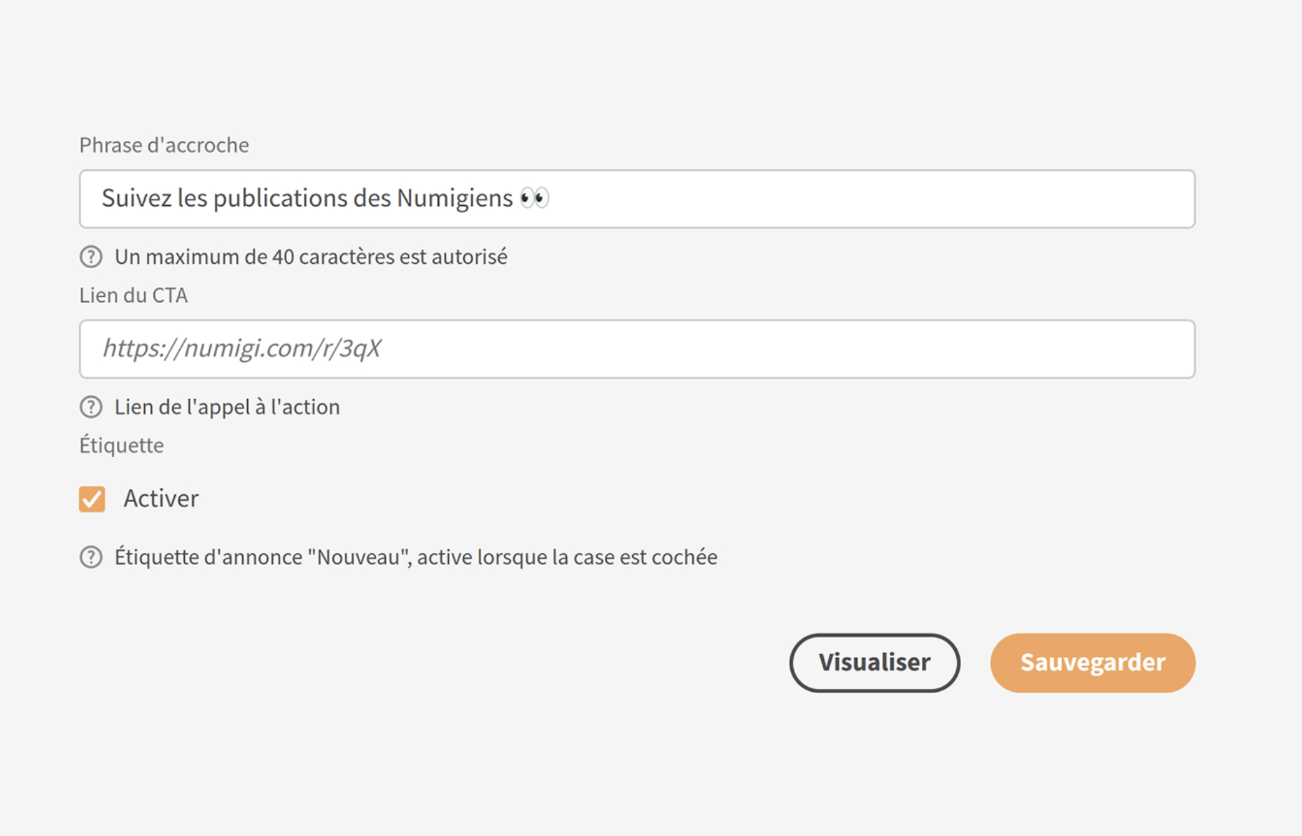 Interface de l'outil de gestion des signatures courriel Numigi avec phrase d'accroche et lien CTA personnalisables
